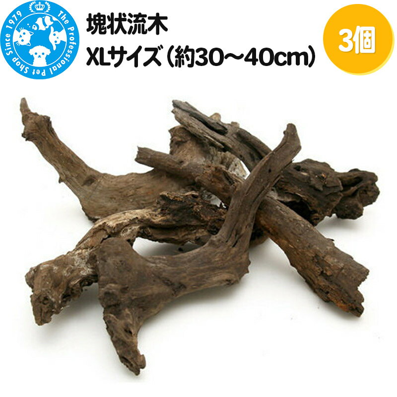 【ふるさと納税】塊状流木 XLサイズ（約30〜40cm）3個