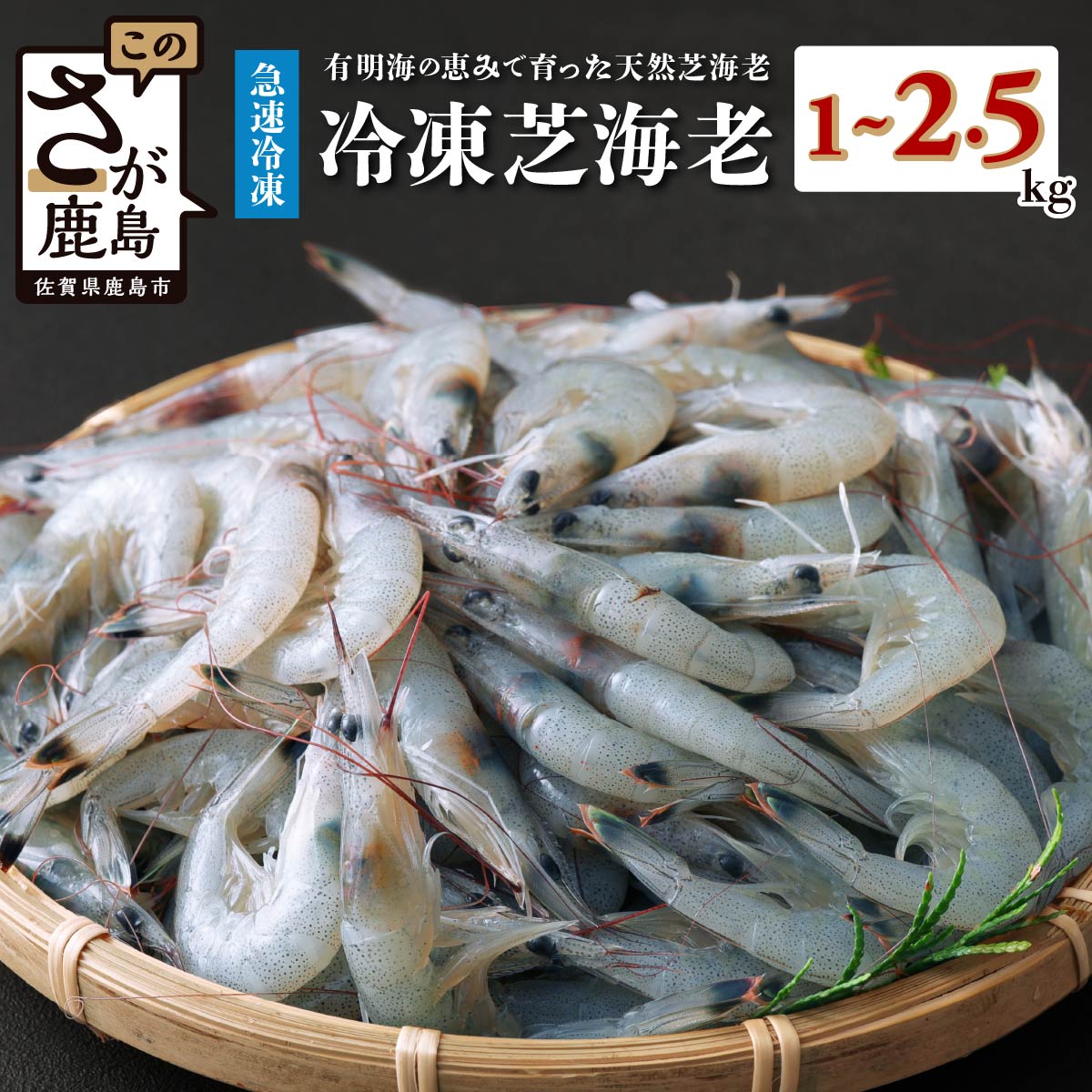 有明海産 芝エビ 真エビ 3kg | ふるさと納税 えび 海老 芝海老 国産 佐賀県 鹿島市 ふるさと 人気 送料無料