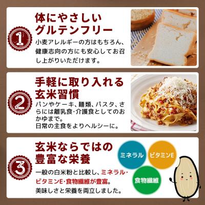 ふるさと納税 北秋田市 玄米粉 玄米からつくられた米粉 秋田さらり玄米粉 1kg|grmy-011001 |  | 03