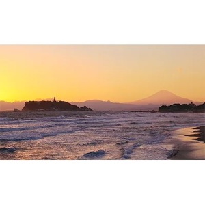 《お洒落なブランド自転車》レンタサイクル1泊2日乗り放題(1台1名様)