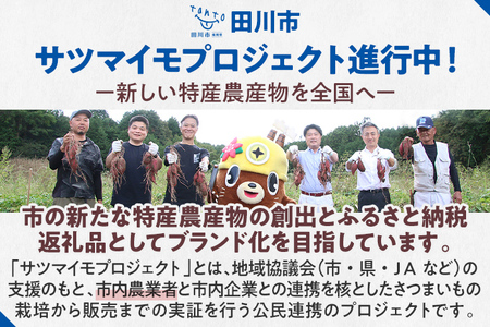 訳あり 熟成 紅はるか 5kg さつまいも 芋 サツマイモ 土付き サイズ色々 サイズ不揃い 九州産 焼き芋 やきいも 甘い デザート スイートポテト 生芋 おやつ デザート 野菜 いも【2024年1
