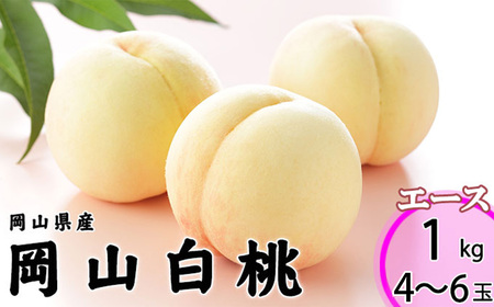 岡山白桃 エース 4～6玉 約1kg 岡山県産 （早生種・中生種） 【2026年7月上旬～8月下旬迄発送予定】 ／ 白桃 桃 もも 果物 果実 フルーツ 岡山県 美咲町 冷蔵