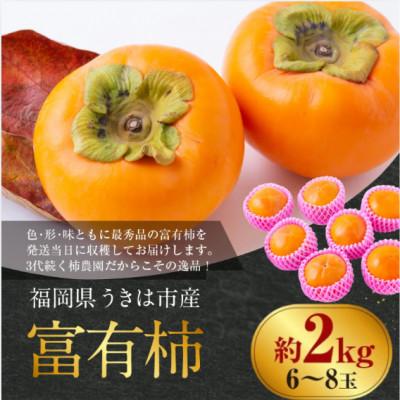 ふるさと納税 うきは市 【先行予約】西見柿農園 富有柿 6玉から8玉 (約2kg)【2026年11月上旬より順次発送予定】 |  | 01
