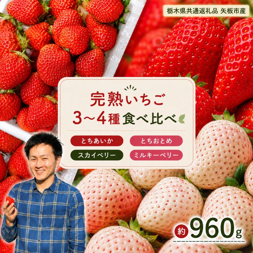 【ふるさと納税】いちご 食べ比べ 3品種 4品種 とちあいか とちおとめ スカイベリー ミルキーベリー 960g【2027年1月以降発送】先行予約｜不揃い フルーツ 果物 お取り寄せ 栃木県 下野市 送料無料 栃木県共通返礼品 矢板市産