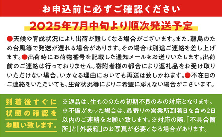 【 2025年 先行予約 】【 訳あり 】おいしさ そのまま ！ふじ農園 の 完熟 マンゴー 2kg C031-003 完熟マンゴー 果物 フルーツ 果実 先行予約 限定 先行受付 訳アリ ワケアリ 