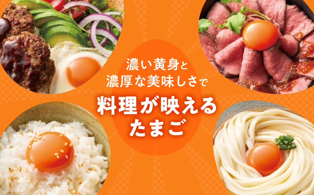 農場たまご めぐみ 30個 定期便12回　割れ保証付き 卵 たまご 鶏卵 30 赤玉 新鮮 毎月お届け 12回 12か月 1年 一年間 イラコファーム 愛知県 田原市