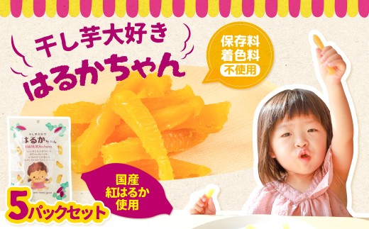 干し芋大好きはるかちゃん 5袋セット 国産 干し芋 ほしいも 干芋 芋 サツマイモ さつまいも 高糖度 どらいすとあ 無着色 おやつ 甘い おいしい 人気 お菓子 おススメ 子どものおやつ 子ども 赤ちゃん 歯固め 砂糖不使用 愛知県 豊橋市