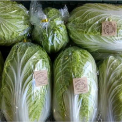 ふるさと納税 京丹後市 【先行予約】京都・まつみやファームの京都の野菜秋冬セット(5品)(2025年11月中旬〜発送予定) |  | 01