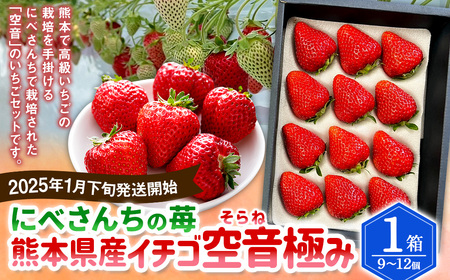 にべさんちの苺 熊本県産イチゴ空音(そらね)極み 【2025年1月下旬発送開始】