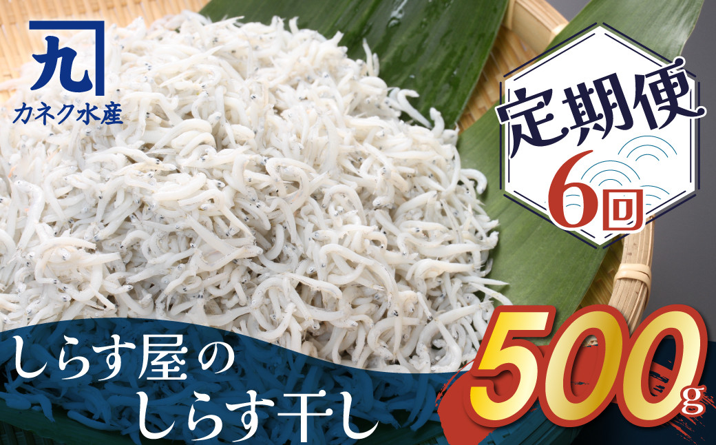 
しらす屋のしらす干し　500ｇ×6ヶ月　定期便 魚介類 しらす シラス 国産 海の幸 ご飯のお供 おつまみ しらす丼 グルメ ギフト 贈り物 やみつき 冷凍 H006-085
