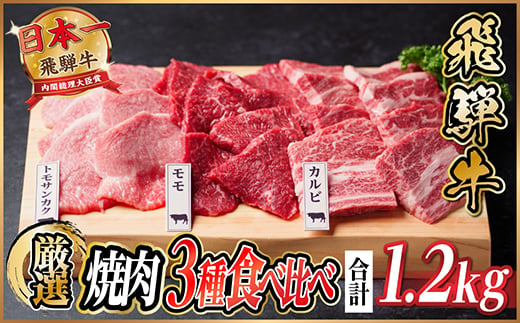 
                  飛騨牛 焼肉3種食べ比べ(カルビ・トモサンカク・モモ) 計約1.2kg【1531176】
                