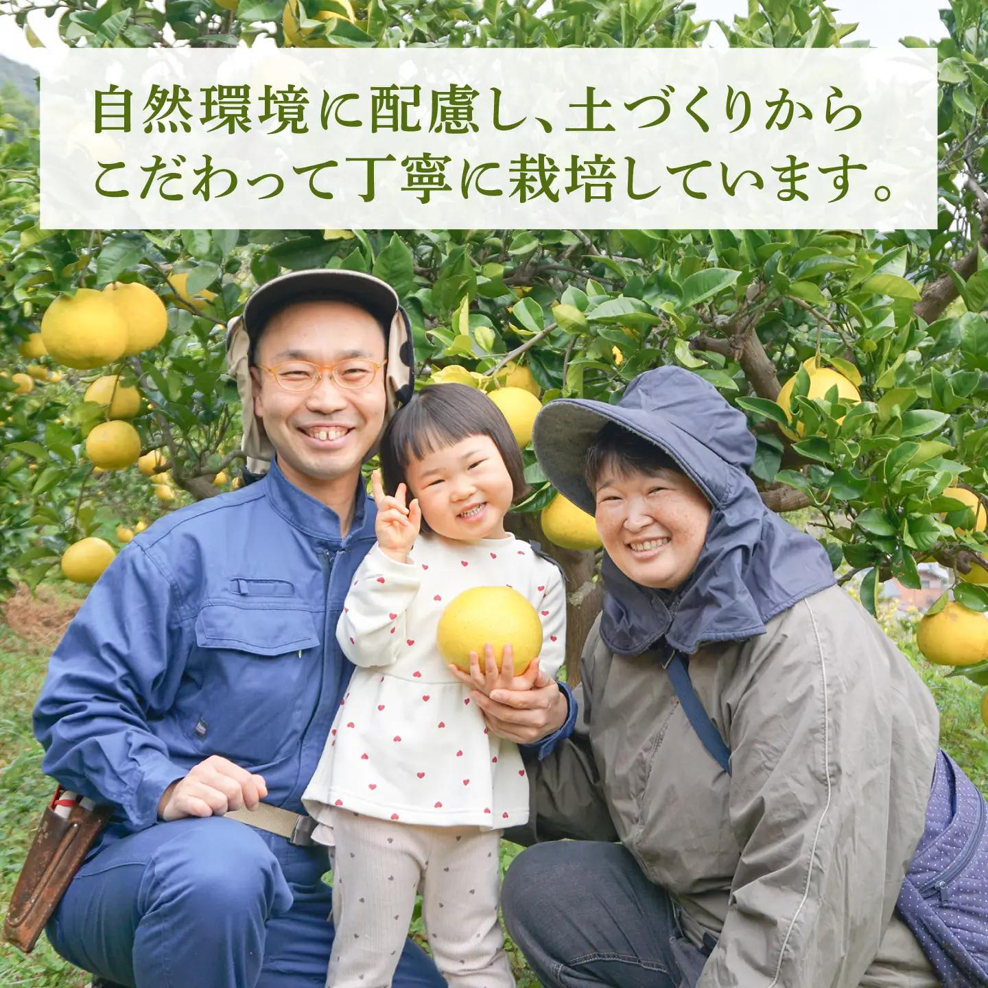 【先行予約】文旦 家庭用大玉 3キロ 3kg（3L〜上限なし：4玉前後）〈2027年1月20日から発送〉皮むき器付き 高知県土佐市 【土佐水谷農園】 [BQBD007]