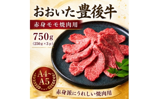 ＜A4～A5＞おおいた豊後牛赤身モモ焼肉用 750g(250g×3p)【1764400】