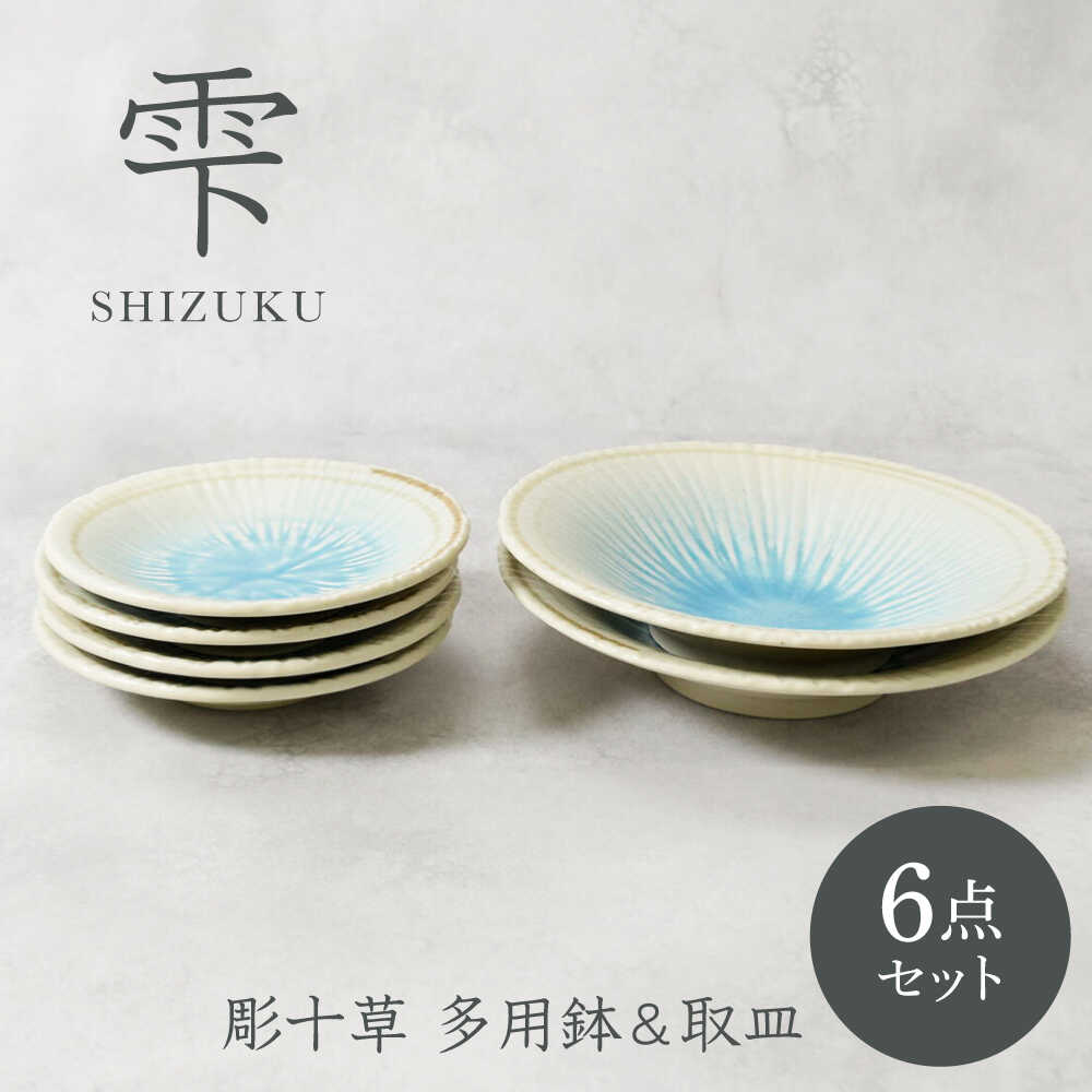 【ふるさと納税】【美濃焼】雫 しずく 彫十草 多用鉢 2点 ＆ 取皿 4点 合計6点セット【カネ定製陶】[MEI101]