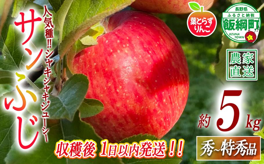 
                  【 フレッシュ便 / 採れたて発送 】 りんご 葉とらず サンふじ 秀 〜 特秀 5kg フレッシュフルーツミカズキ 2026年11月中旬頃から2026年11月下旬頃まで順次発送予定 令和8年度収穫分 信州 果物 フルーツ リンゴ 林檎 長野 予約 農家直送 長野県 飯綱町 [1671]
                