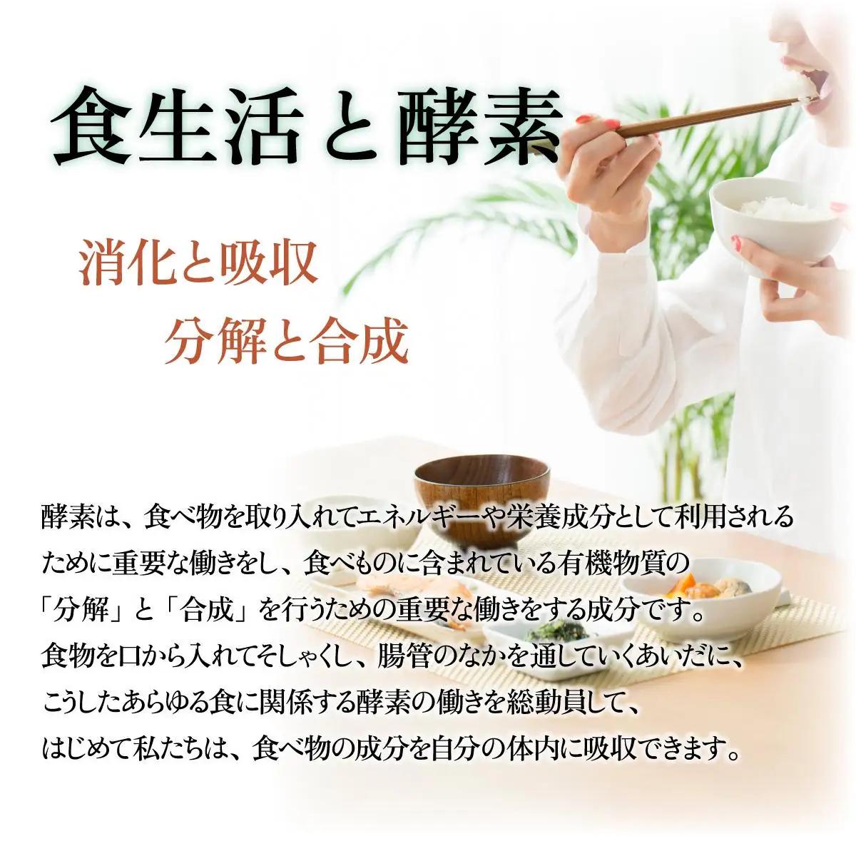 定期便 3ヵ月連続 全3回 スーパーオータカ 1200ml 大高酵素 健康 飲料 原液 植物エキス醗酵飲料 美容 栄養 野菜 北海道 果物 植物 植物エキス 酵素 熟成 ファスティング 特許 保存 非