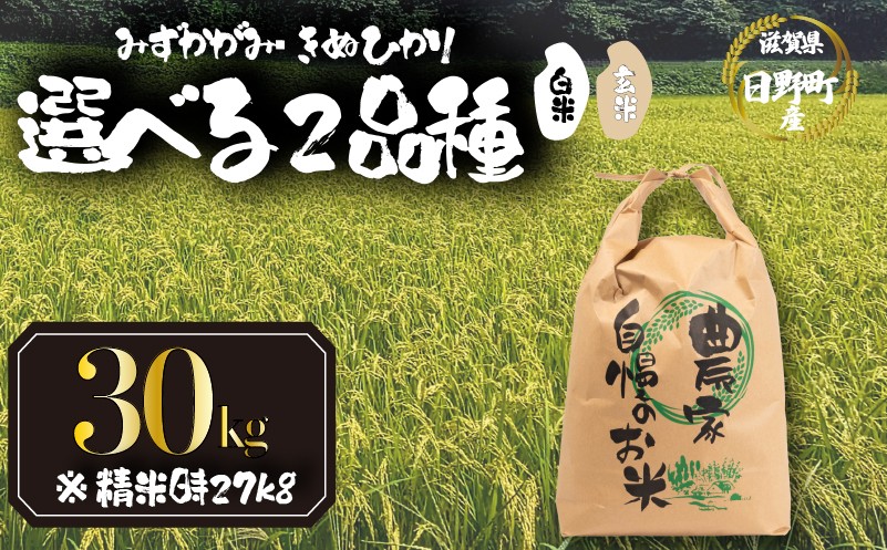 
                  【 新米 先行予約 】 令和8年産 選べる 品種 みずかがみ きぬひかり 30kg 精米時 27kg 白米 / 玄米  2026年産 キヌヒカリ 国産 滋賀県 日野町 農家直送 お米 精米 おこめ こめ 米 ご飯 おにぎり お弁当 弁当 kome R8年 R8 8年産 ハクマイ げんまい しんまい おこめ こめ 米 オコメ 産地直送 日野町産米 産地直送 ふるさと納税
                