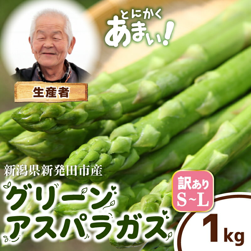 【ふるさと納税】 訳あり アスパラガス S~Lサイズ 1kg アスパラ 甘い 太い 柔らかい 新潟 新発田 新鮮 野菜 グリーンアスパラガス グリーンタワー 夏野菜 特産品 旬 肉 巻き 朝採れ 産地直送 農家 菅谷 ワケあり 細め 新潟県 新発田市 蔵光グリーンファーム kuramitsu005