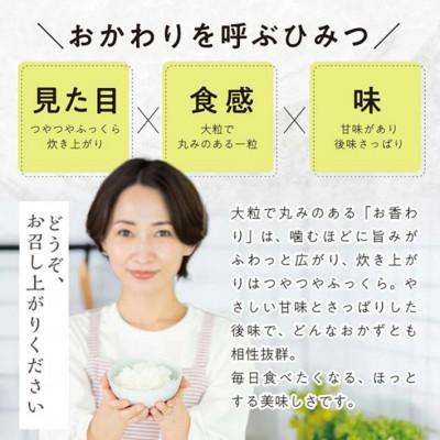 ふるさと納税 酒田市 【毎月定期便】無洗米 お香わり(山形95号)5kg×3ヶ月連続 計15kg 山形県庄内産全3回 |  | 02