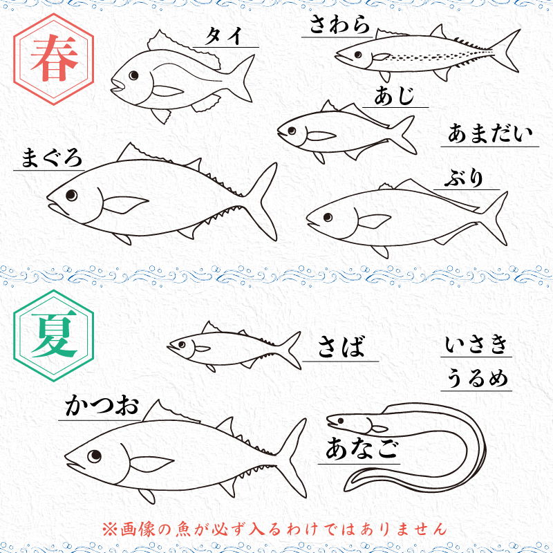 【魚屋のプロが厳選！】 鮮魚 BOX 4kg