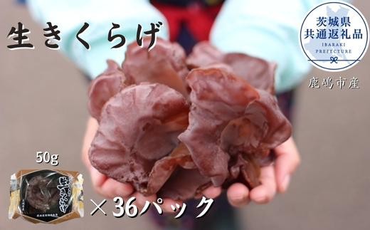 
                  きくらげ　1パック50g×36パック （茨城県共通返礼品／鹿嶋市産）
                