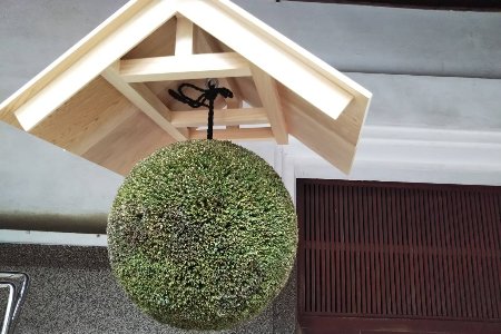 日本酒ライフに彩りを！杉玉直径30cm。自宅やお店のインテリアに。【67-1】