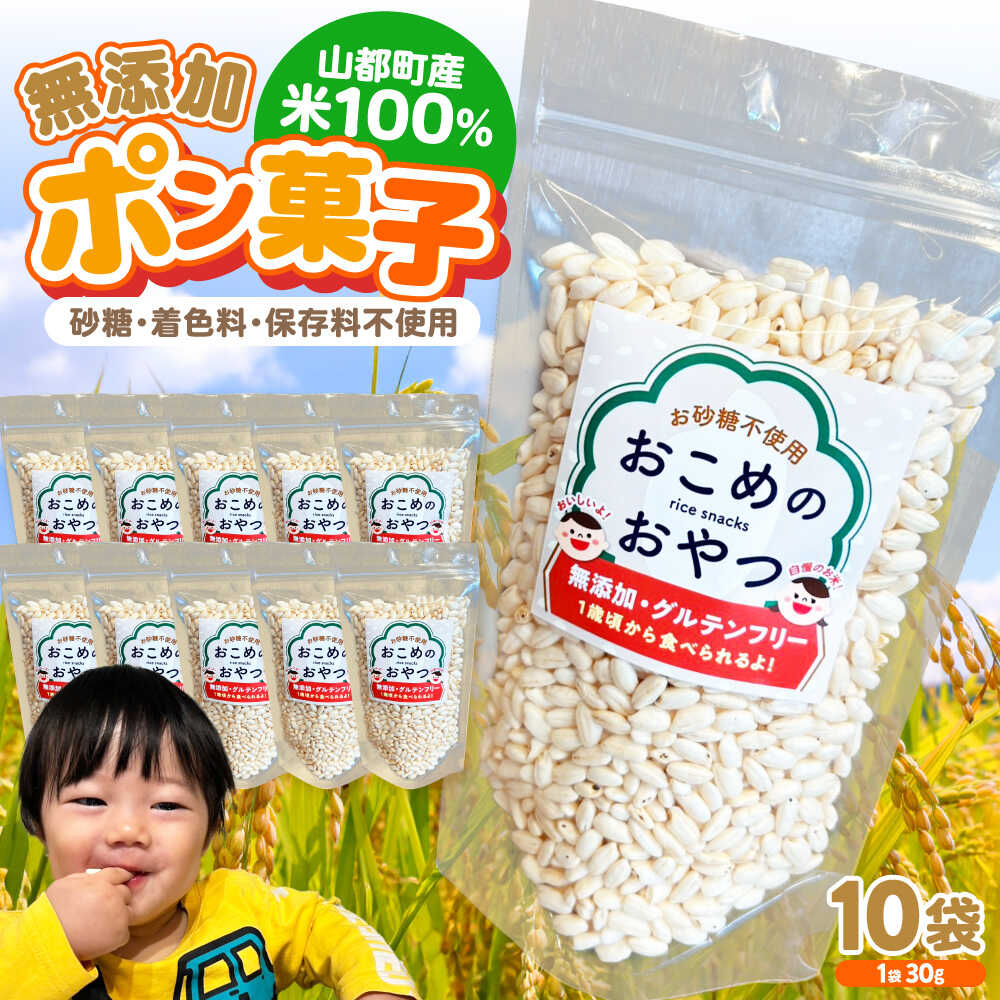 【ふるさと納税】おこめのおやつ 10袋セット【株式会社キゴコロ】[YDZ001]