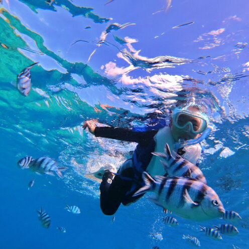 【ふるさと納税】【むるぬーし】ボートシュノーケリング＜4名様分＞