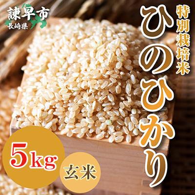 ふるさと納税 諫早市 【令和7年産】特別栽培米・九州のこだわり米「ひのひかり」玄米5kg |  | 01