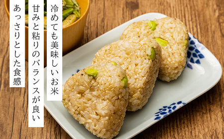 令和7年産!ファーム坂口の特別栽培米 ななつぼし玄米 30kg (30kg×1袋)