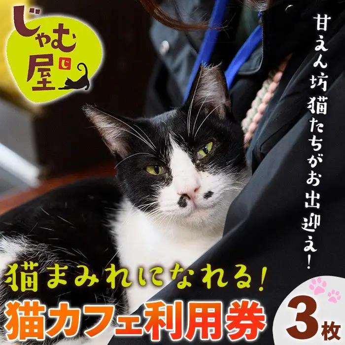 猫まみれになれる猫カフェチケット(3枚) チケット 猫 カフェ 体験 ネコ ねこ 保護猫 動物 カフェ利用チケット 保護猫カフェ 利用券 利用優待券 触れ合い ふれあい 体験型 動物カフェ 癒し 写真撮影 猫好き 【じゃむ屋】as15-005