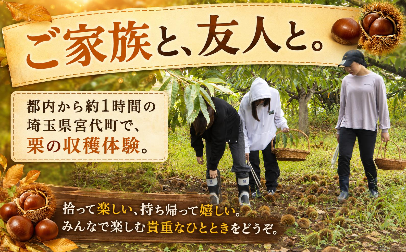 都会から１時間で、大粒の栗拾い体験！