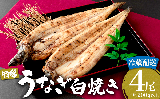 ＜2026年6月配送＞うなぎ白焼き 800g (200g×4尾) 2026年6月配送
