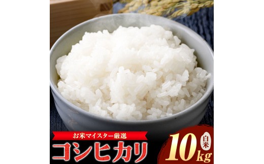お米マイスター厳選 令和7年産 東庄町産 コシヒカリ 精米 10kg 有限会社山中米穀《60日以内に出荷予定(土日祝除く)》千葉県 東庄町 お米 米 コシヒカリ こしひかり ブランド米 ご飯 お米マイスター 白米