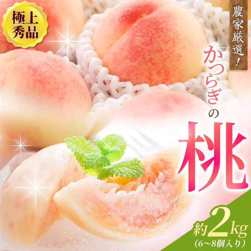 【先行予約】【厳選】あふれる果汁で口いっぱい！ 和歌山県産 桃 約2kg（6個～8個） 【2027年6月20日頃～順次発送予定】（お届け日指定不可）/ 和歌山 桃 モモ フルーツ もも 白桃 果物 くだもの【kgr001B】