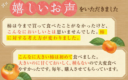 【10月下旬～11月下旬発送】種なし柿 太月・渋抜き柿 3kg【小林農園】[HAX001]