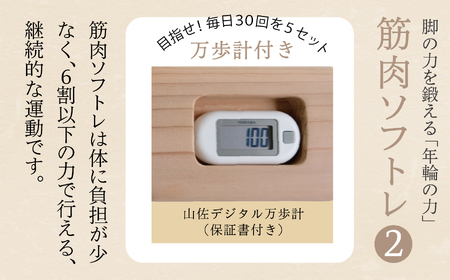 脚の力を鍛える「年輪の力」 筋肉ソフトレ2 037014 筋トレ