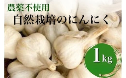 
            【2025年産】にんにく 1kg 京都府・亀岡産 自然栽培のかたもとオーガニックファームよりお届け ※離島への発送不可 ※2025年6月下旬～9月下旬頃に順次発送予定
          