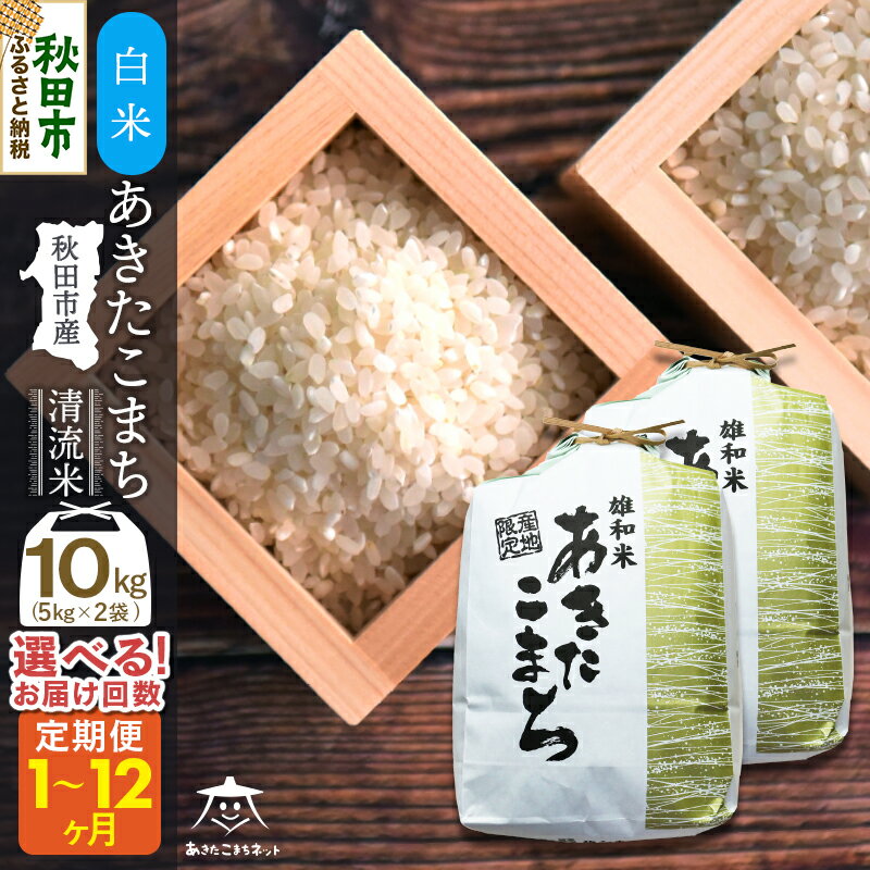【ふるさと納税】あきたこまち 清流米 10kg(5kg×2袋) 秋田市雄和産【白米】【選べるお届け回数(1回〜定期便) 】