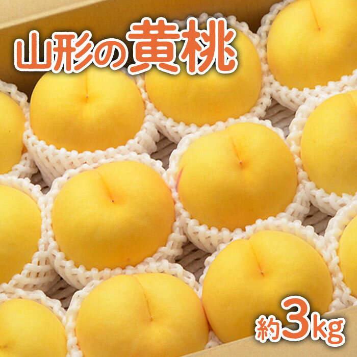 【ふるさと納税】山形の黄桃 約3kg(6〜13玉)[柔らかくなる品種・果肉やや硬め]【令和9年産先行予約】fs92-055 山形県 山形市 お取り寄せ 2027年産 果物 もも モモ フルーツ 果実 デザートくだもの 新鮮 産地直送 数量限定 期間限定 贈答 御中元 ギフト 家庭用