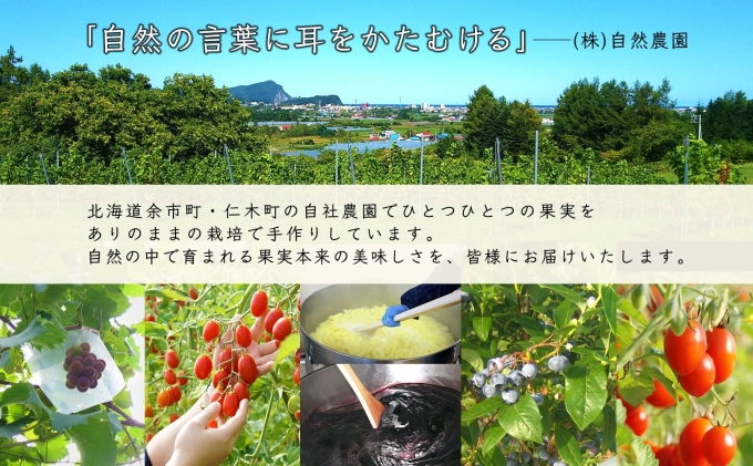 北海道産 リンゴ コンフィチュール ジャム コンポート 計3個 アソート セット 林檎まぶし ジャム瓶 詰め合わせ りんご 林檎 フルーツ 果物 コンポート お取り寄せ  産地直送 仁木町