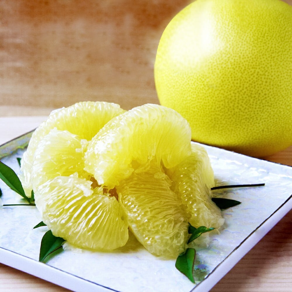 土佐文旦　家庭用　約１０キロ（１４～２２玉）