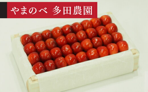 【ふるさと納税】《先行予約》2026年 山形県産 やまがた紅王 特選桐箱詰約700g やまのべ多田耕太郎のさくらんぼ 送料無料 tn-ybxxk700