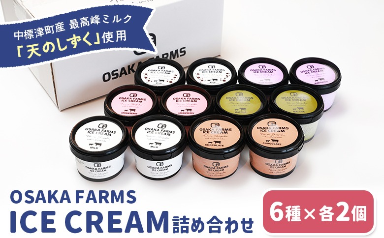 OSAKA FARMS ICE CREAM 詰め合わせ12個入りセット（ミルク・チョコ・イチゴ・抹茶・チョコチップ・ラムレーズン）6種×各2個【51014】