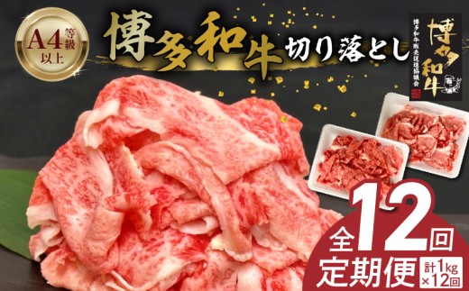 博多和牛切り落とし 500g×2パック　12回定期便 _Tk064