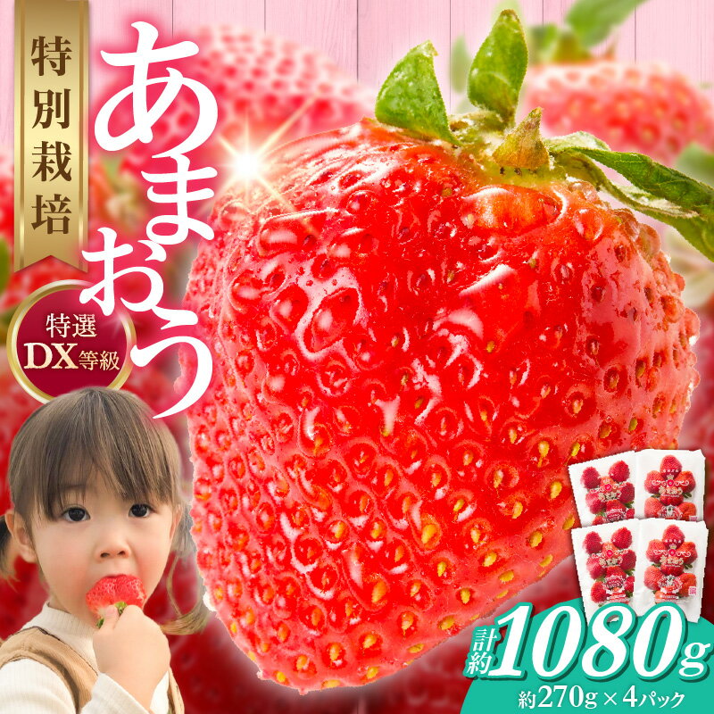 【ふるさと納税】福岡県産 特別栽培 特選 DX等級 完熟 あまおう 270g × 4パック 計 1080g 自然の恵み 濃厚 大粒 ジューシー 朝採れ いちご 宙づり ハンモック構造 贈答用 フルーツ デザート お取り寄せ 福岡県 久留米市 送料無料