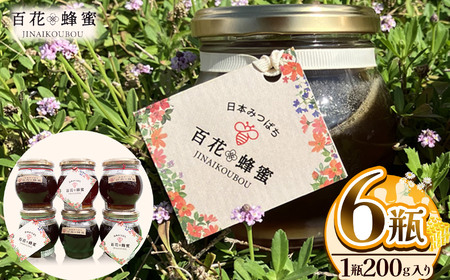 日本蜜蜂の百花蜂蜜(6瓶) | 栃木県 下野市