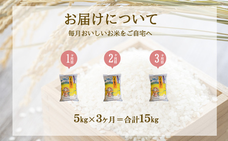 【3ヶ月定期便】新米 令和6年産 えびの産 ひのひかり 5kg×3ヶ月 合計 15kg お米 精米 白米 ご飯 特選米 国産  宮崎県産 九州産 送料無料 こめ おにぎり お弁当