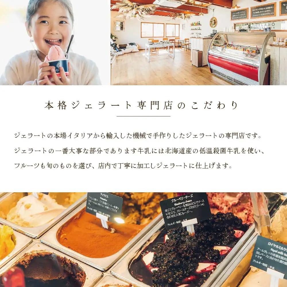北海道牛乳使用ジェラート おすすめ10個セット EK0000004 (別海町ジェラート アイスジェラート ジェラートジェラートジェラートジェラート）