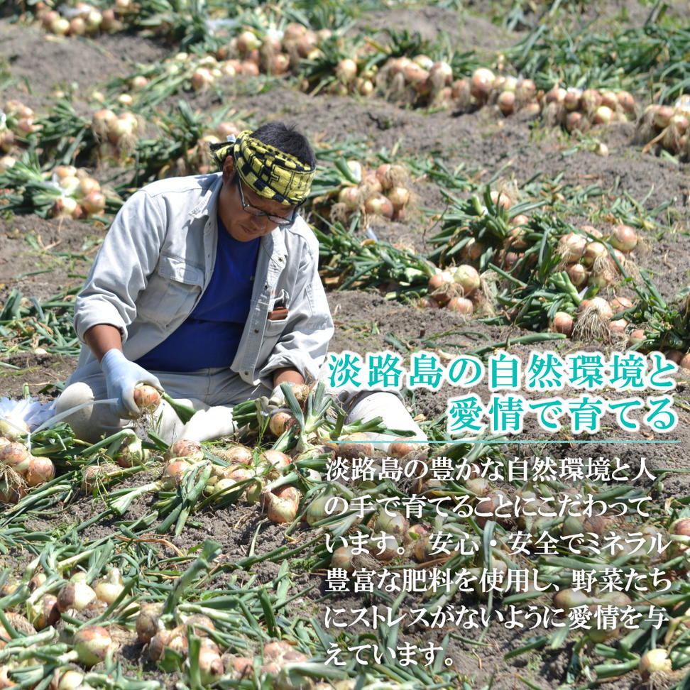 名手農園の淡路島特産玉ねぎ 5kg　　[淡路島たまねぎ 玉葱 